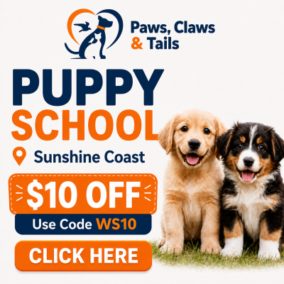 Puppy School Sunshine Coast by Paws Claws Tails